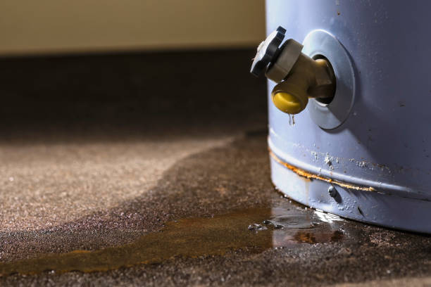 Trusted Manistique, MI Water damage restoration Experts