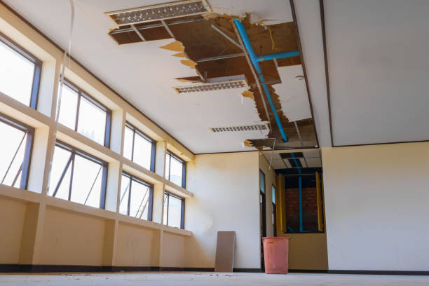Best Residential water damage restoration  in Manistique, MI