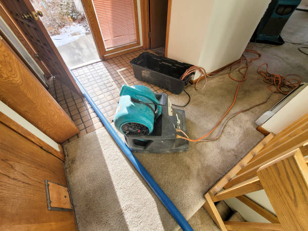 Best Fire Damage Restoration  in Manistique, MI