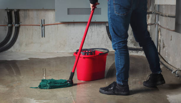 Local water damage restoration in Manistique, MI