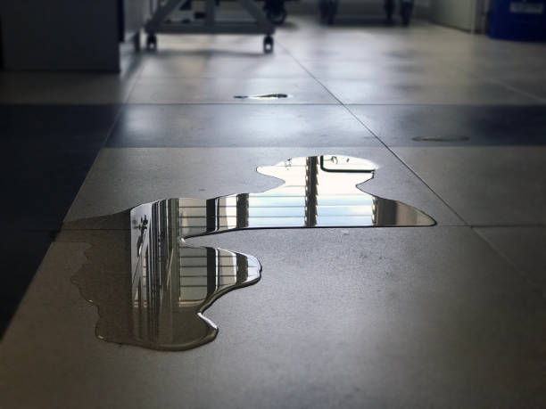 Best Commercial water damage restoration  in Manistique, MI