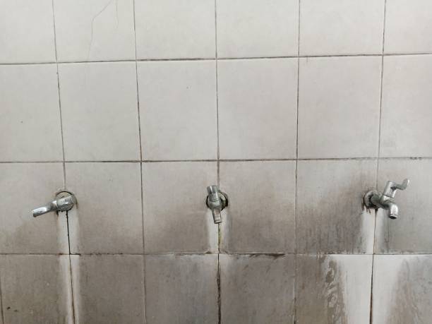 Best Water damage contractors near me  in Manistique, MI