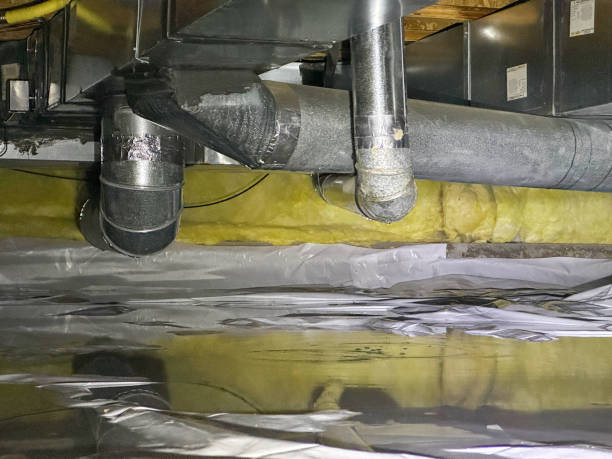 Best Mold removal after water damage  in Manistique, MI
