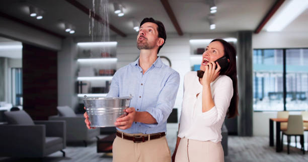 Best 24/7 water damage repair  in Manistique, MI