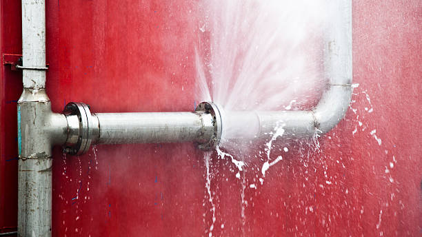 Best Carpet water damage restoration  in Manistique, MI