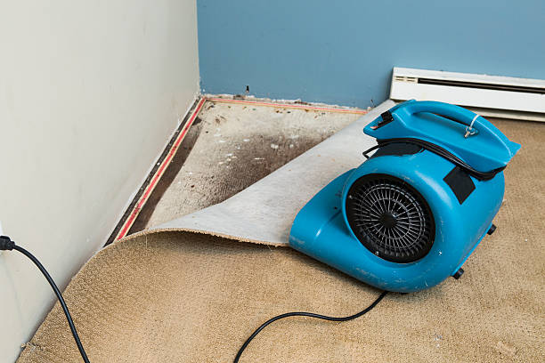 Best Water damage restoration near me  in Manistique, MI